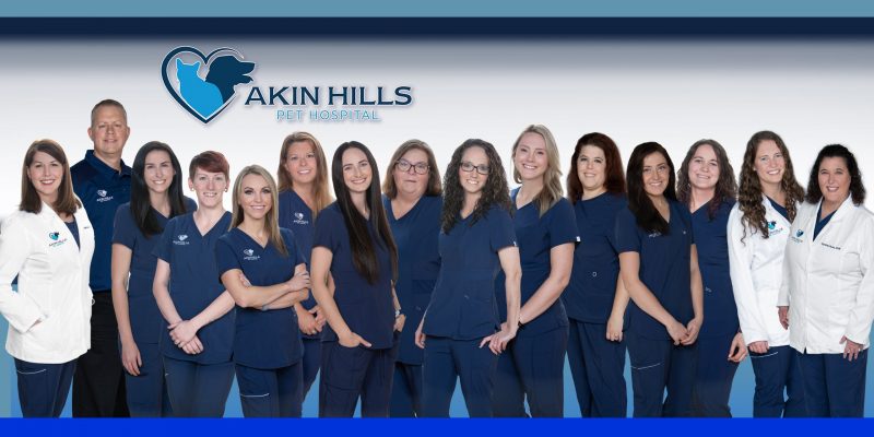 staff photo