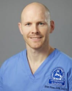 Dr. Brian Rose, DVM-photo
