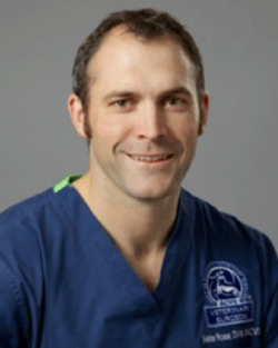 Dr. Nate Rose, DVM-photo