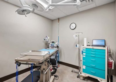 A veterinary medical room with an operating table and equipment.