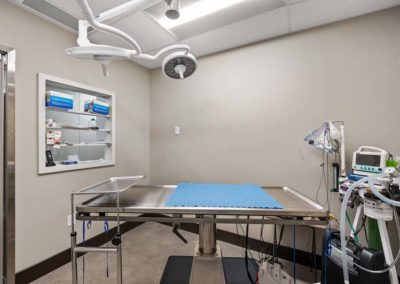 A veterinary operating room with a table and equipment.
