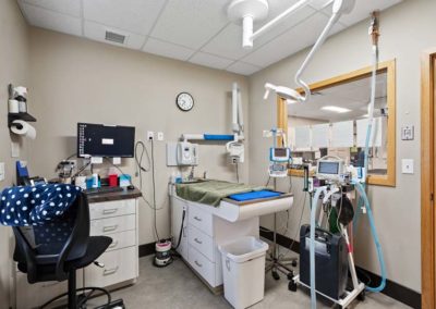 A veterinary medical room with equipment.