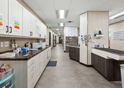 A vet or animal hospital with cabinets and counters.