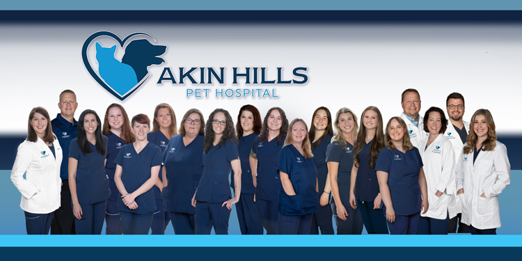 Group photo of 16 staff members from Akin Hills Pet Hospital standing in front of a backdrop with the hospital's logo.