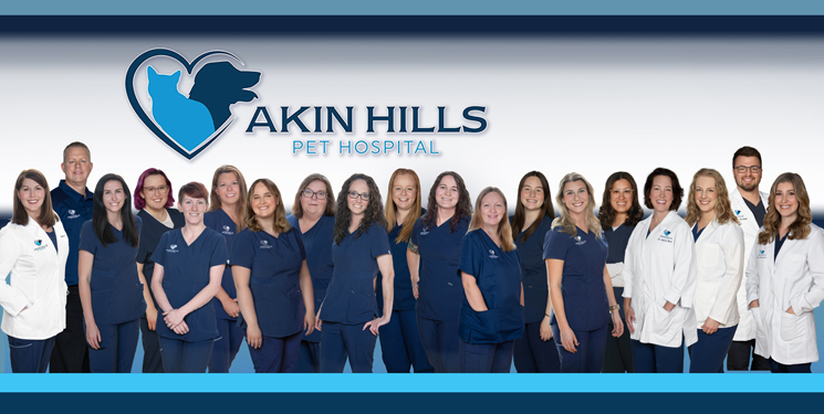 A group of veterinary staff in uniforms and lab coats stands in front of an "Akin Hills Pet Hospital" sign and logo.
